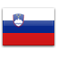Preturi traduceri limba slovena